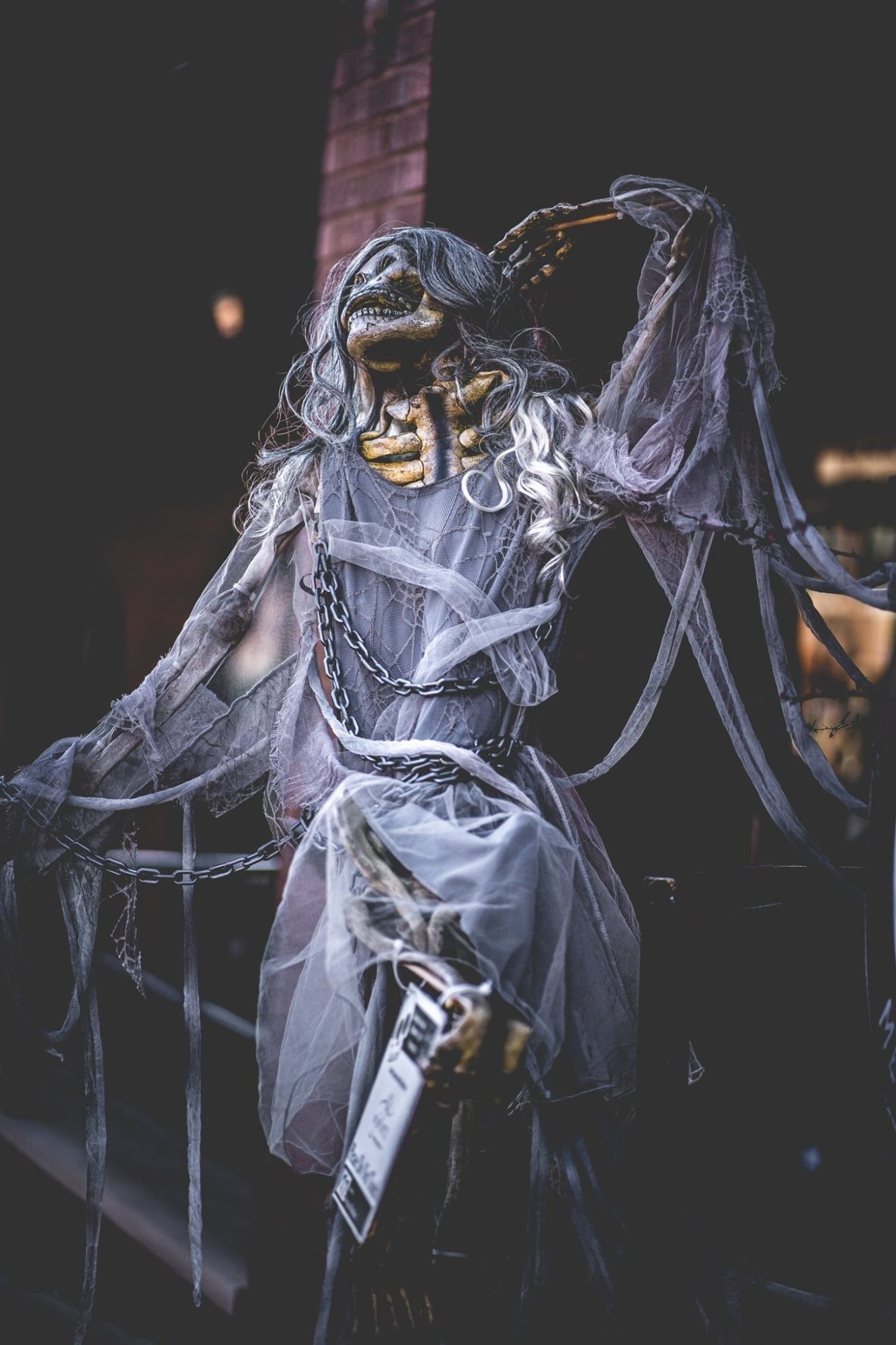 Dancer Skeleton (photo Credit Rand Alive)