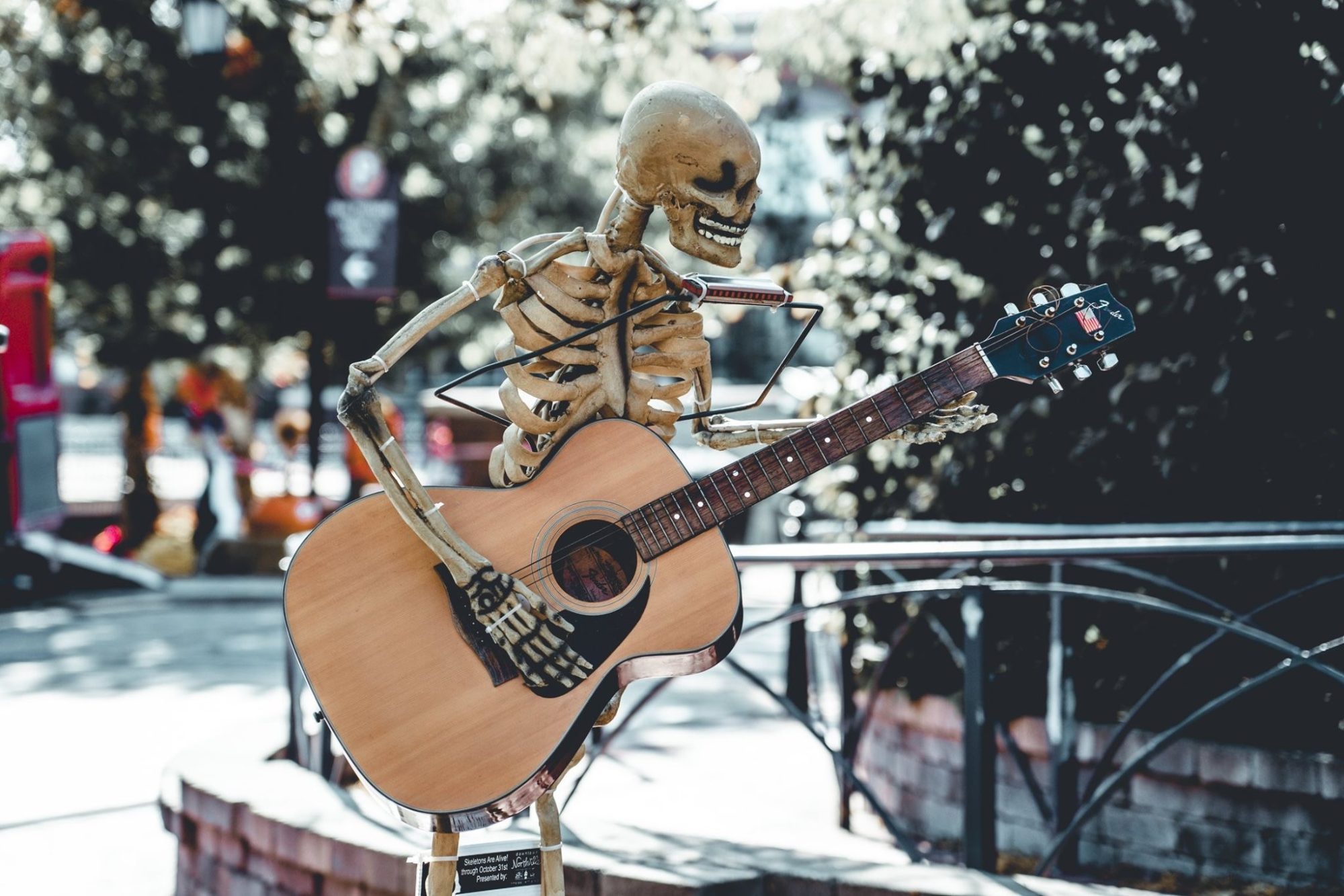 Guitar Player Skeleton (photo Credit Rand Alive)