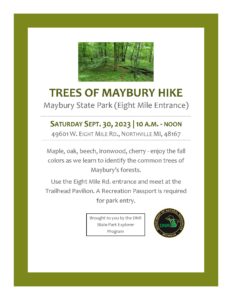 tree hike