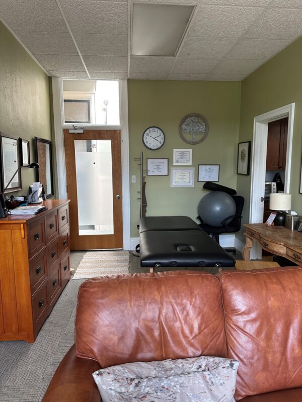 Cozy office with couch and massage table